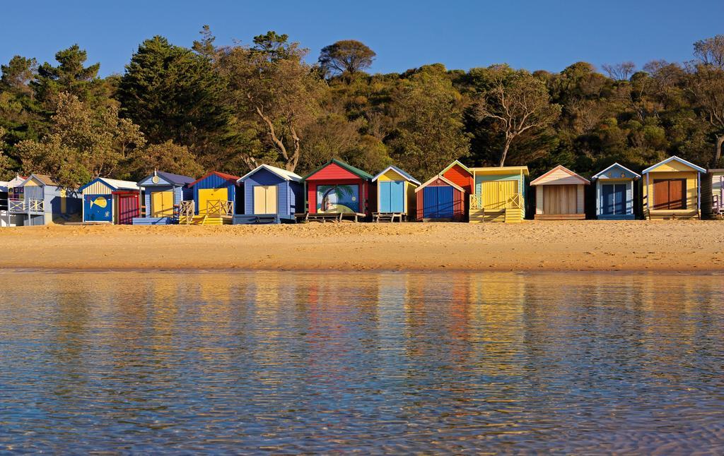 Bayplay Beach Cottage - Pet Friendly Queenscliff Habitación foto