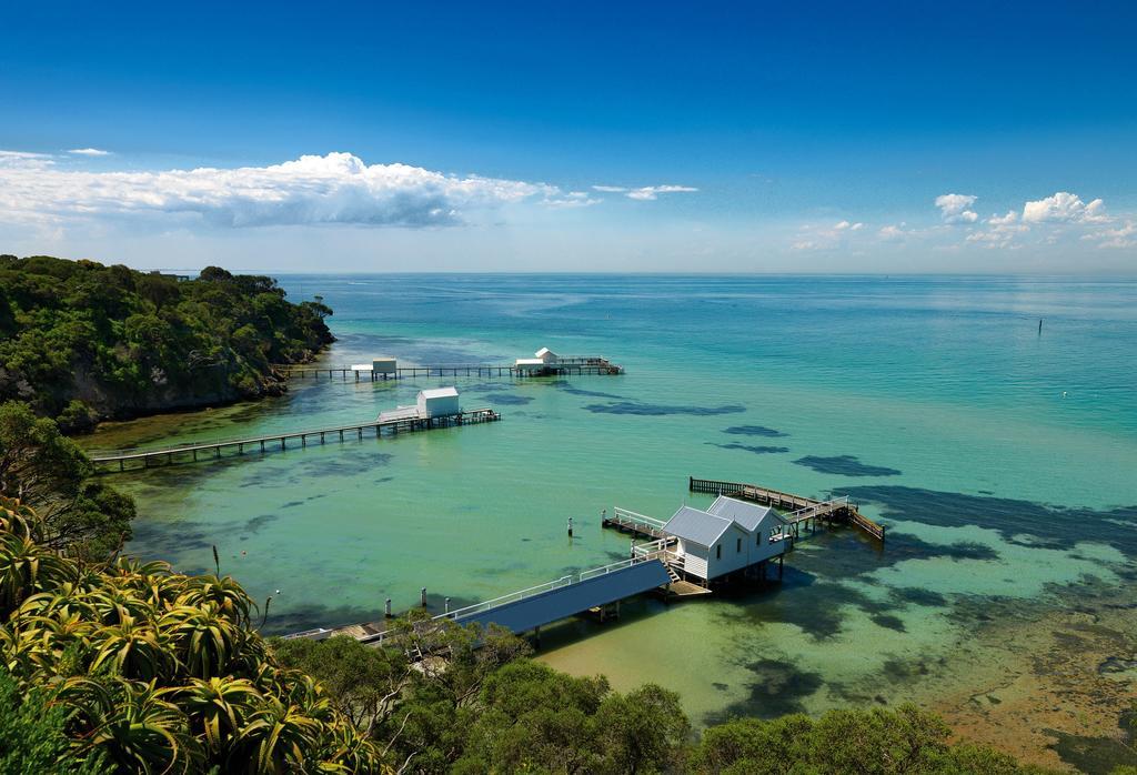 Bayplay Beach Cottage - Pet Friendly Queenscliff Habitación foto